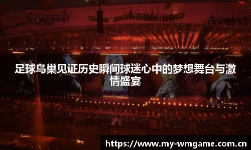 足球鸟巢见证历史瞬间球迷心中的梦想舞台与激情盛宴